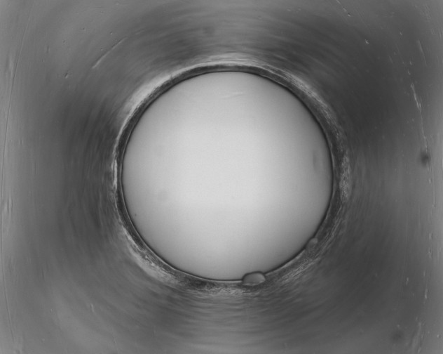 X0000116131372200912141059