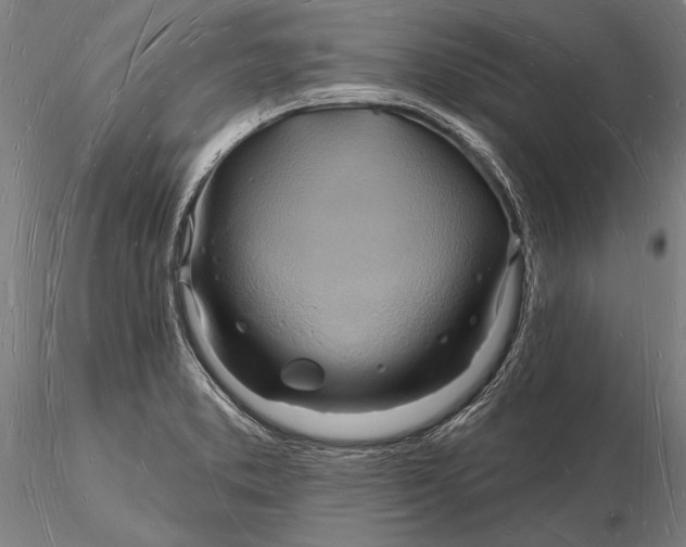 X0000116131373200912141059