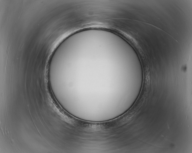 X0000116131375200912141059