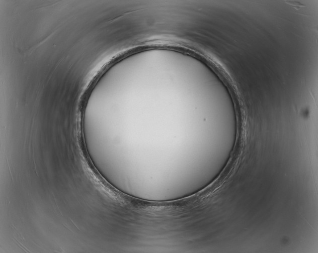X0000116131376200912141059