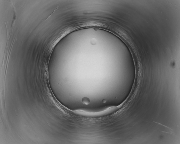 X0000116131377200912141058
