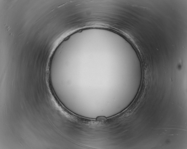 X0000116131379200912141058
