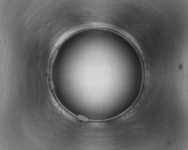 X0000116131381200912141058