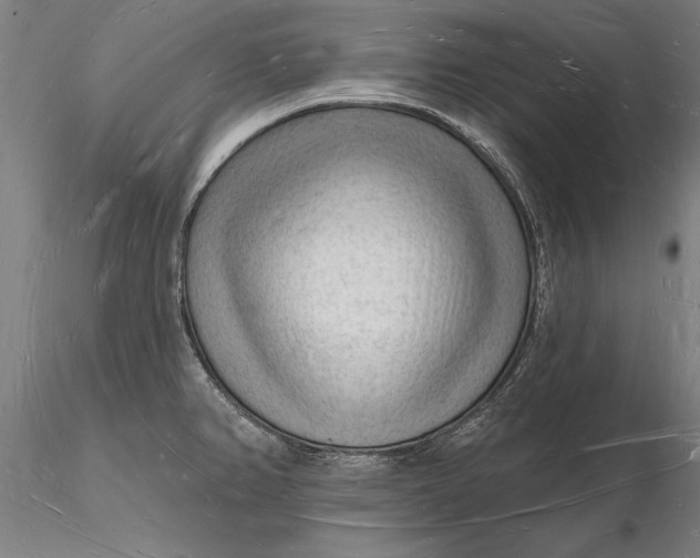 X0000116131382200912141058
