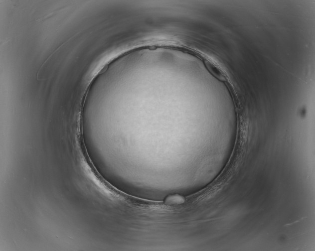 X0000116131383200912141058