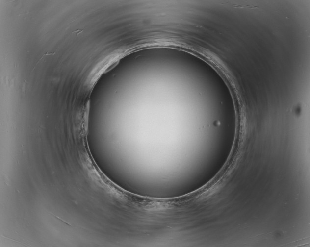 X0000116131385200912141058