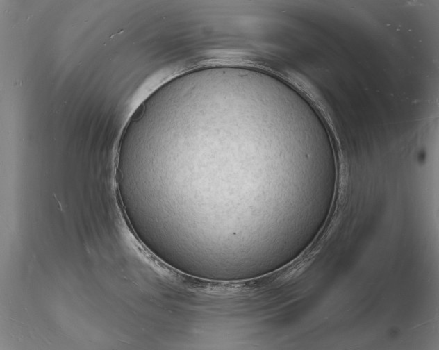 X0000116131386200912141058