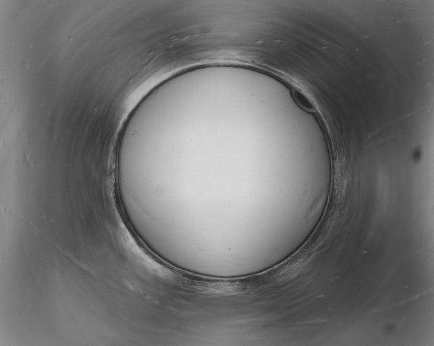 X0000116131387200912141058