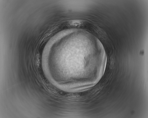 X0000116131394200912141058