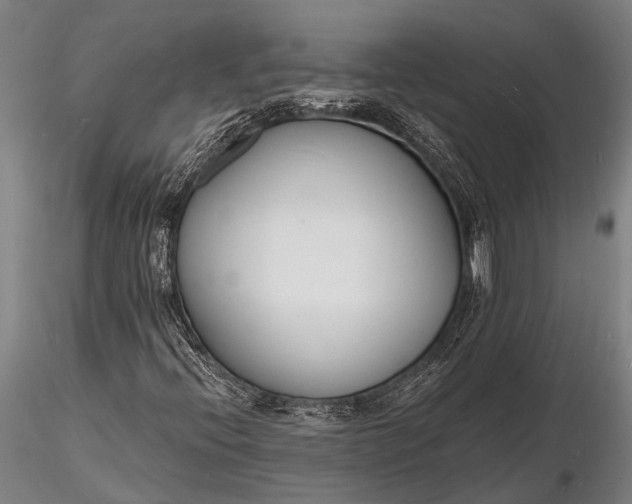 X0000116131396200912141058