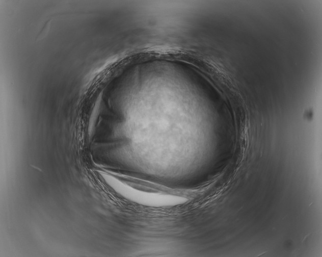 X0000116131398200912141058