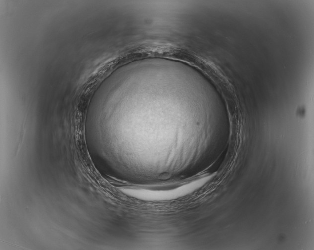 X0000116131399200912141058