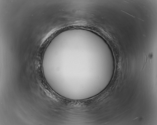 X0000116131400200912141058