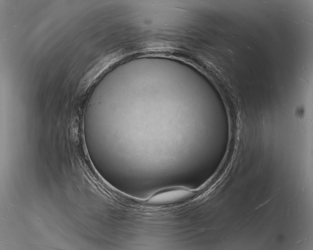 X0000116131401200912141058