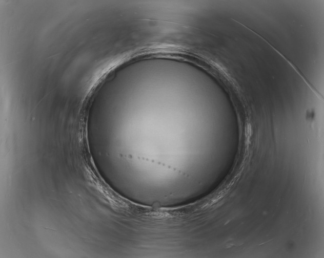 X0000116131405200912141058