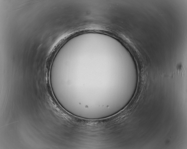 X0000116131408200912141058