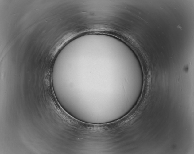 X0000116131409200912141058