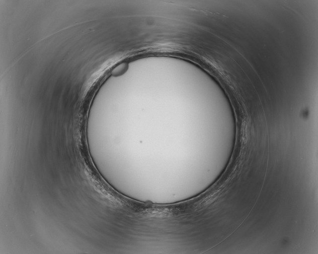 X0000116131410200912141058