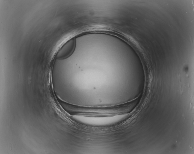 X0000116131413200912141058