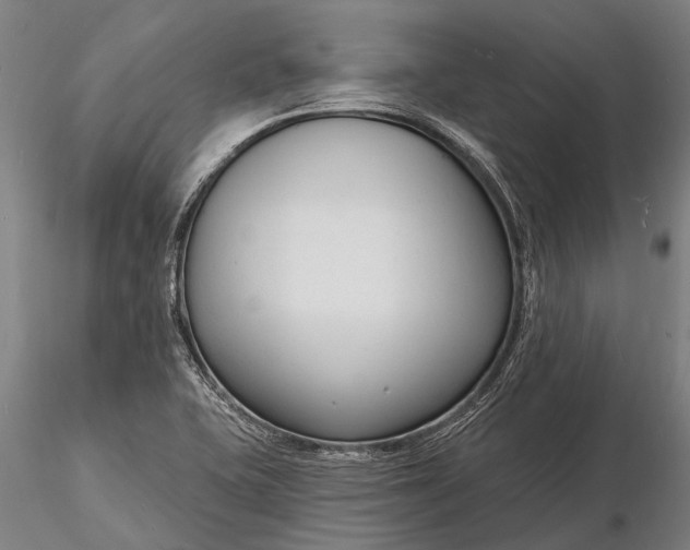X0000116131415200912141058