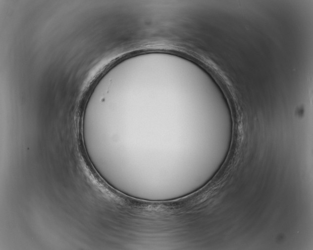 X0000116131416200912141058