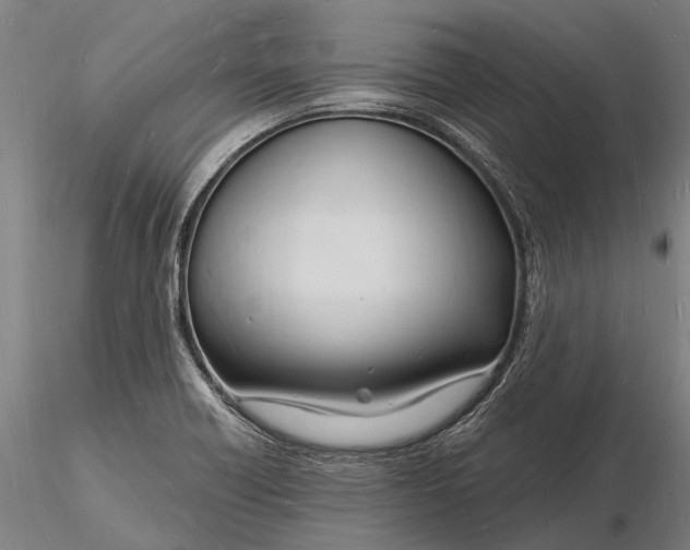 X0000116131418200912141058