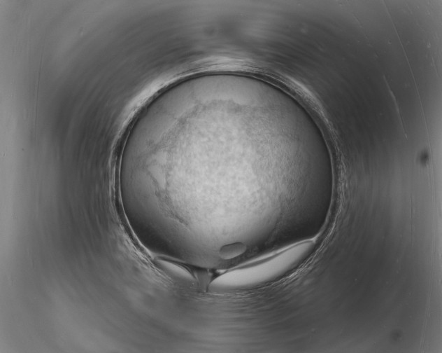 X0000116131419200912141058