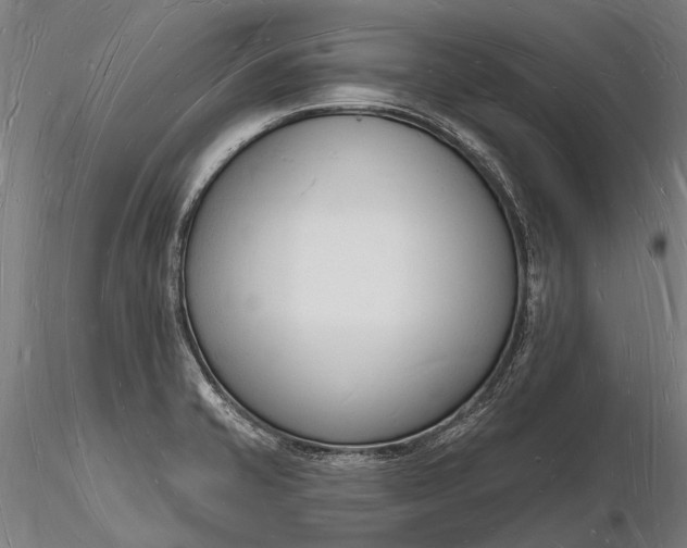 X0000116131421200912141058