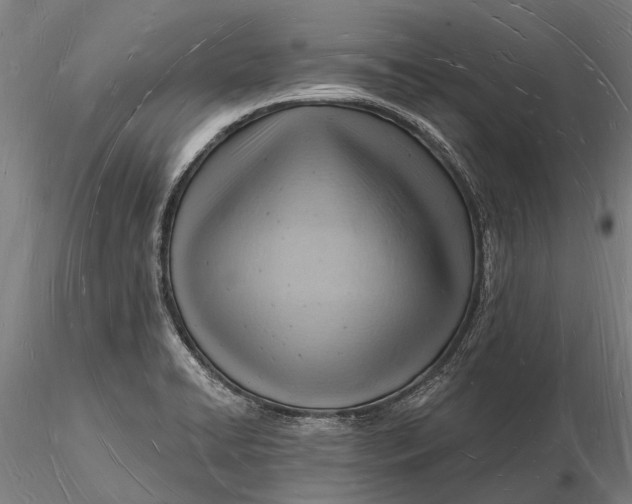 X0000116131422200912141058