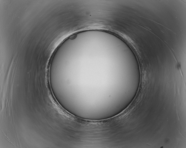 X0000116131423200912141058