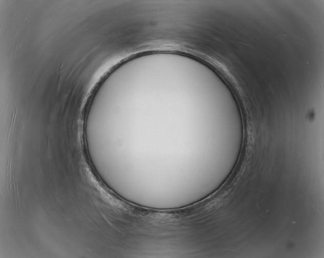 X0000116131424200912141058