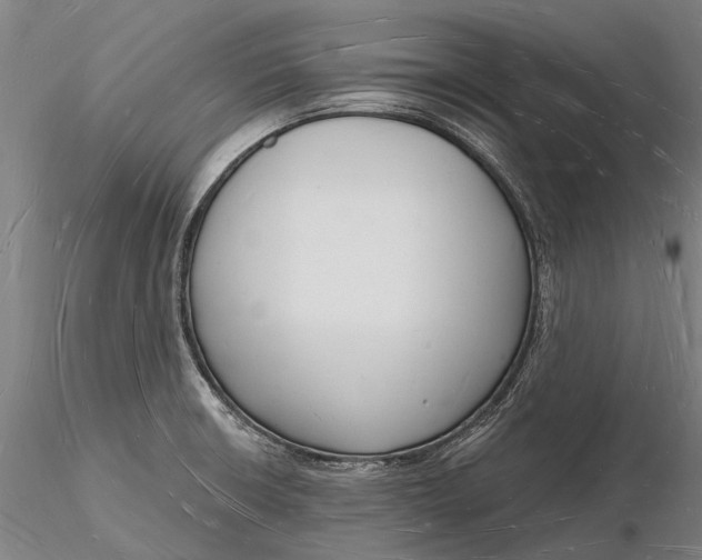 X0000116131426200912141058