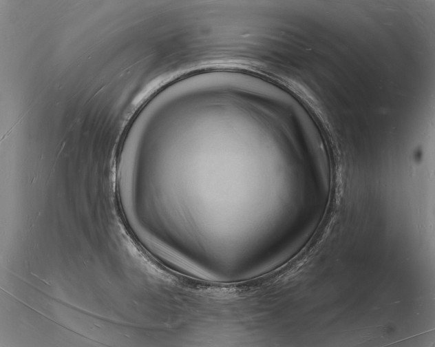 X0000116131428200912141058