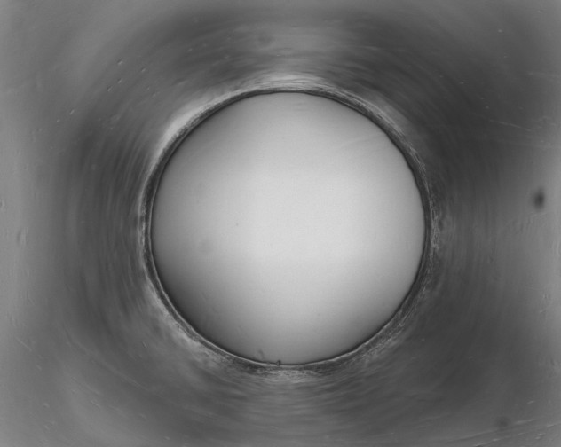 X0000116131430200912141058