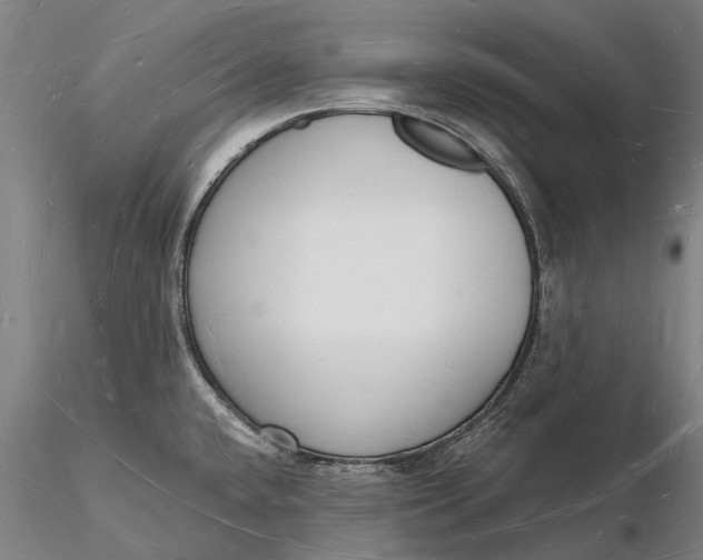 X0000116131432200912141058