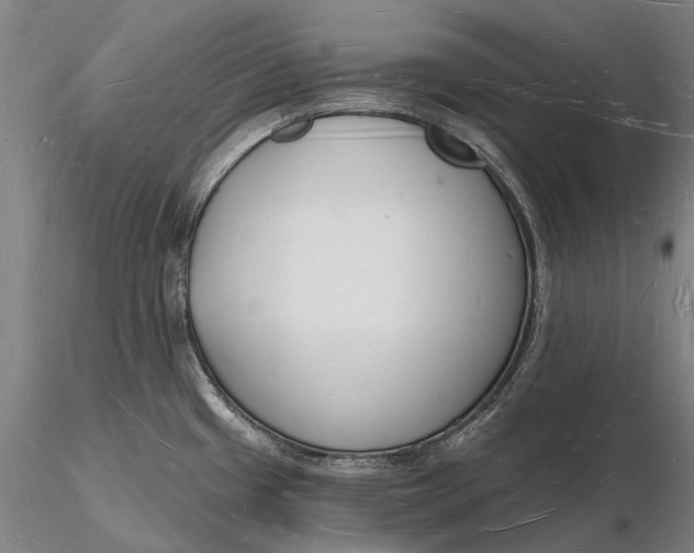 X0000116131433200912141058