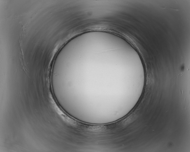 X0000116131434200912141058