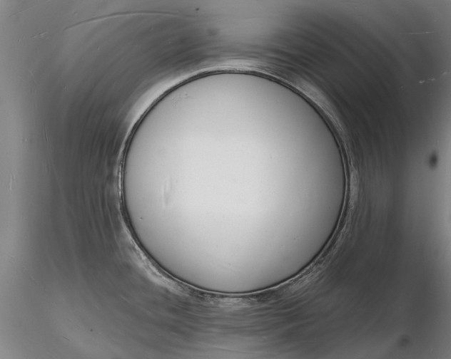 X0000116131436200912141058