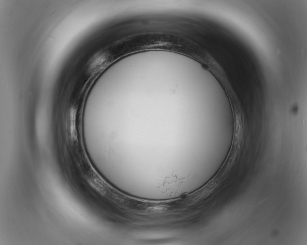 X0000116131439200912141058