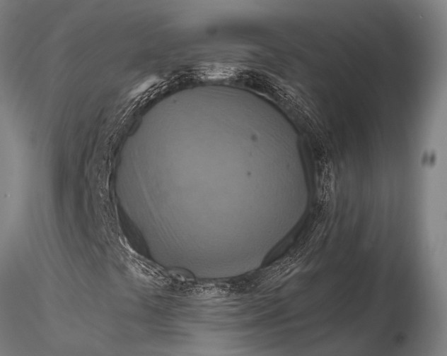 X0000116131441200912141058