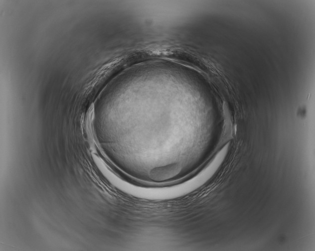 X0000116131444200912141058