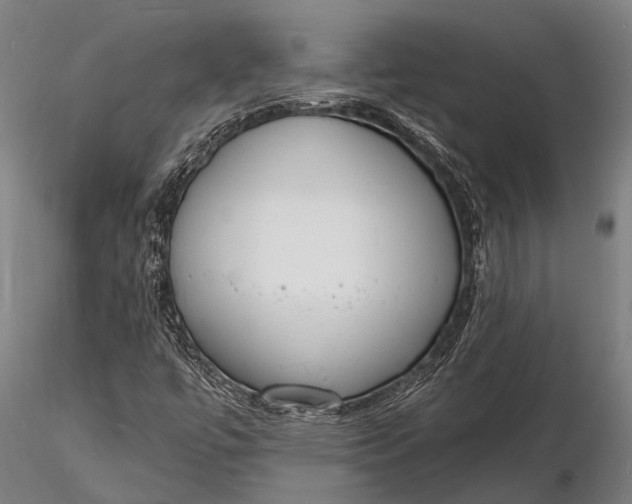 X0000116131447200912141058