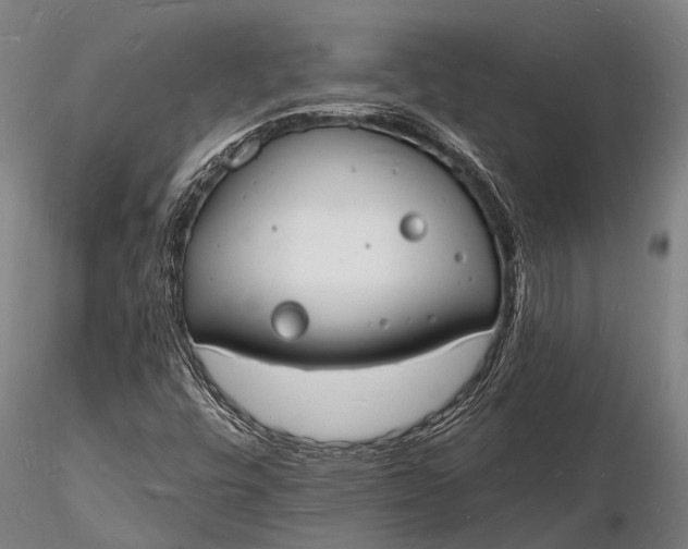 X0000116131448200912141058