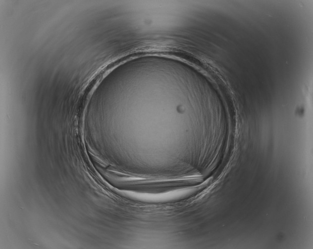 X0000116131449200912141058