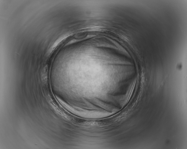 X0000116131450200912141057