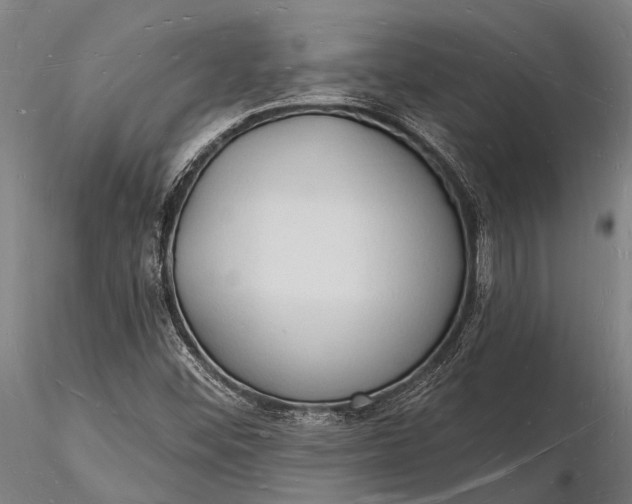 X0000116131452200912141057