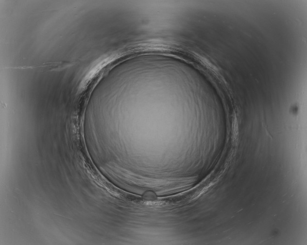 X0000116131453200912141057