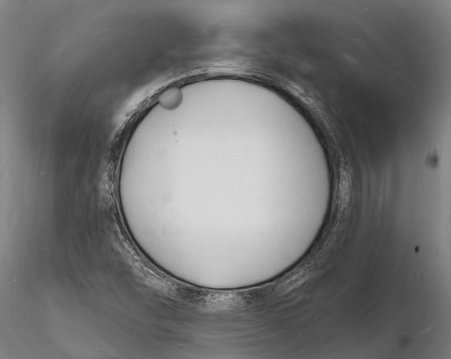 X0000116131454200912141057