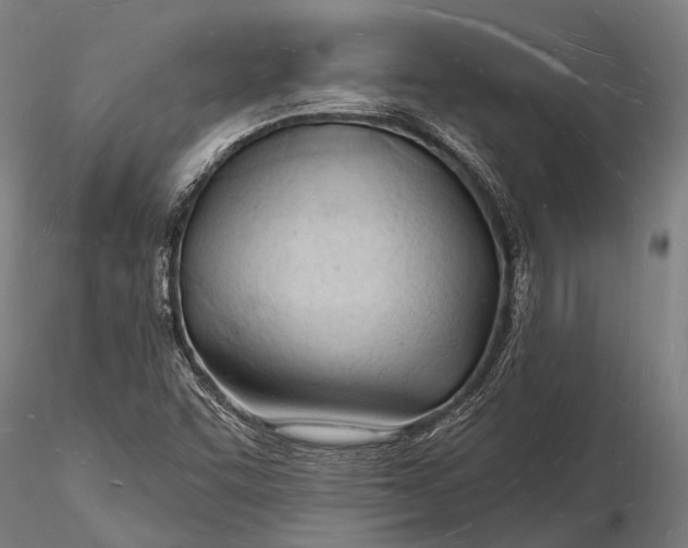 X0000116131455200912141057