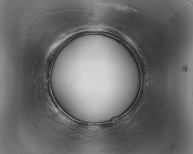 X0000116131456200912141057